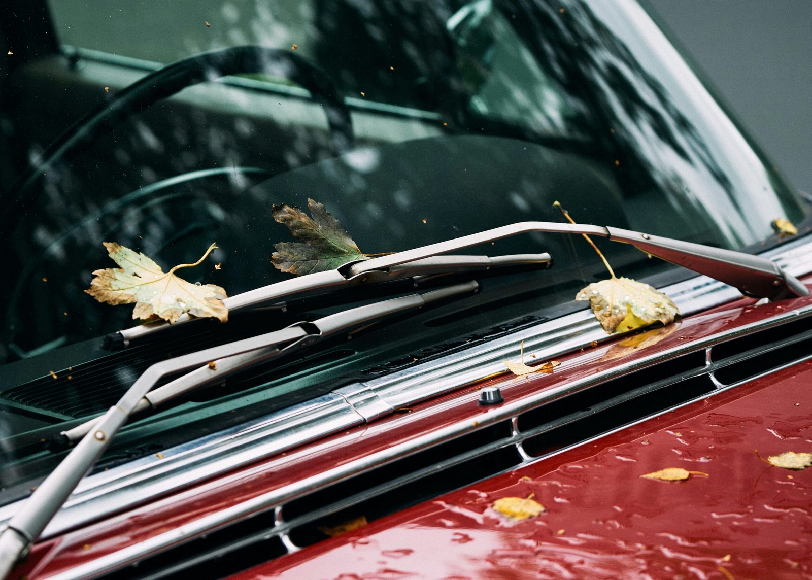 How to Replace Windshield Wipers featuring blade replacement, installation steps, windshield maintenance, vehicle safety, and wiper care.