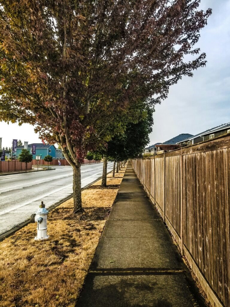 Cheap Privacy Fence Ideas guide to budget-friendly fence styles, recycled materials, landscaping privacy, and affordable backyard fencing.
