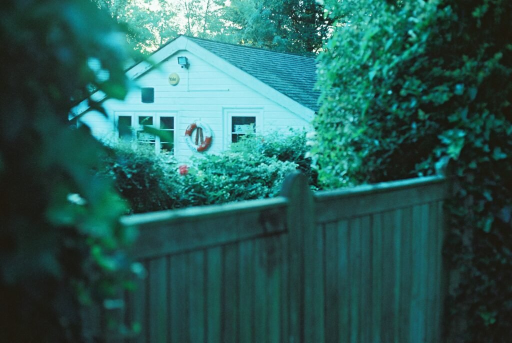 Cheap Privacy Fence Ideas covering affordable fencing materials, decorative privacy screens, DIY installation, and backyard improvements.